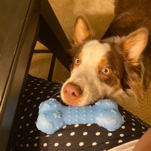 Meet your Posher, Myra